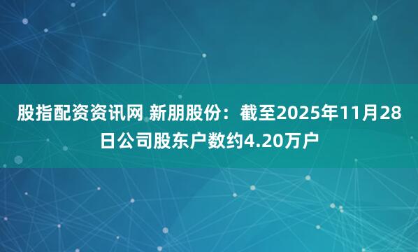 股指配资资讯网 新朋股份：截至2025年11月28日公司股东户数约4.20万户